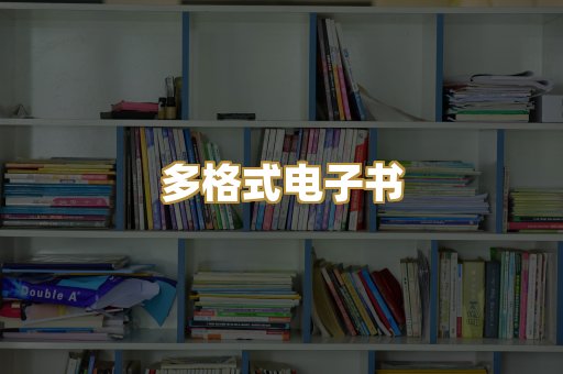 多格式电子书